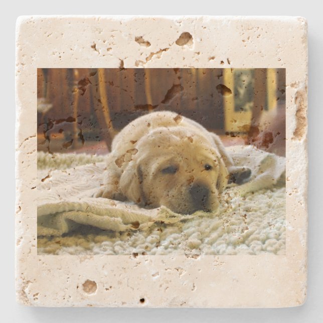 yellow 2 lab puppy stone coaster (Front)