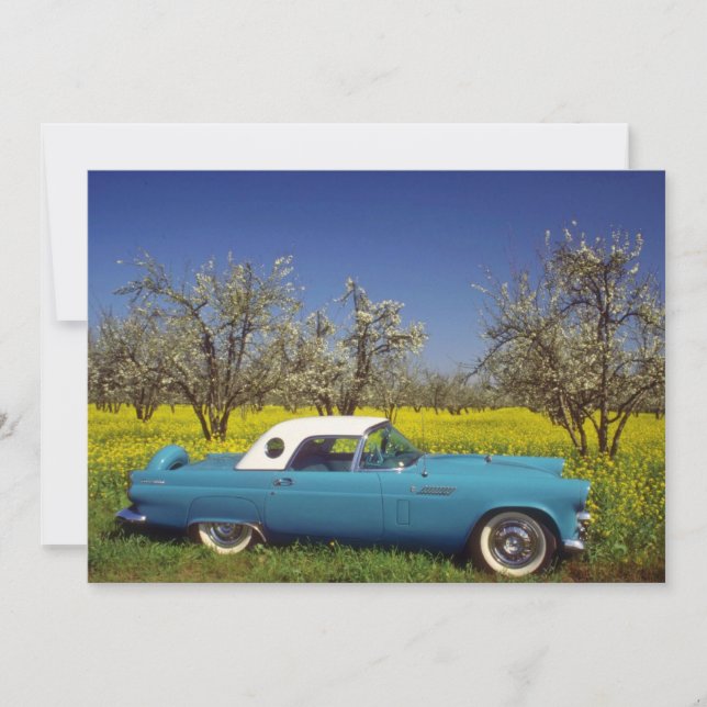 yellow 57 T-Bird flowers (Front)