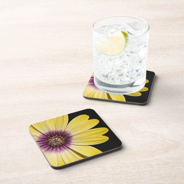 Yellow African Daisy on Black Floral Coaster (Right Side)