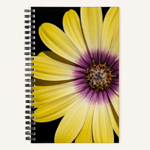 Yellow African Daisy on Black Floral Notebook