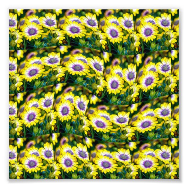 Yellow African daisy pattern Photo Print (Front)