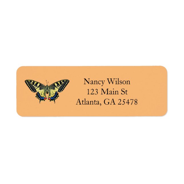Yellow and black butterfly (Front)