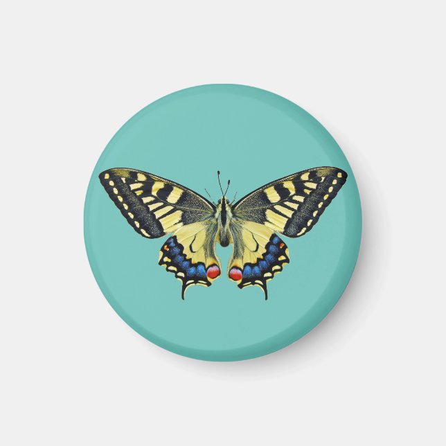 Yellow and black butterfly magnet (Front)