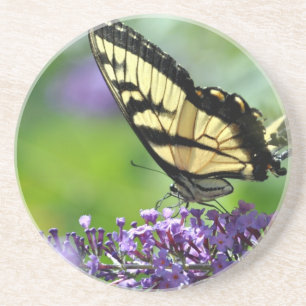 Yellow and Black Butterfly on Lavender Coaster