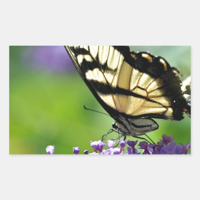 Yellow and Black Butterfly on Lavender Rectangular Sticker (Front)