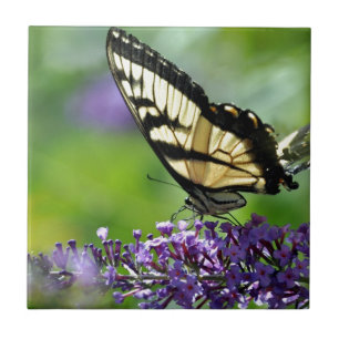 Yellow and Black Butterfly on Lavender Tile