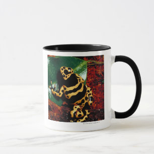 Yellow and Black Frog Mug
