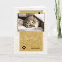 Yellow and Black Loss of Cat Pet Sympathy