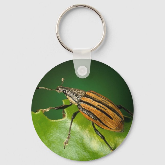 Yellow and black  striped weevils bettle key ring (Front)