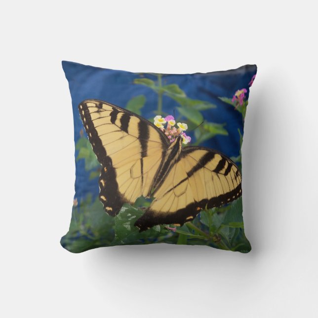 Yellow and black swallowtail butterfly on a cushion (Front)