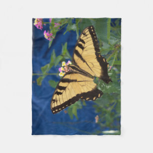 Yellow and black swallowtail butterfly on a fleece blanket