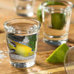 Yellow and Blue Angelfish Photo Shot Glass