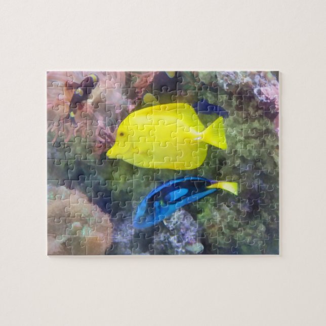 Yellow and Blue Tang Fish Jigsaw Puzzle (Horizontal)
