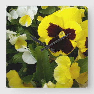 Yellow And Brown Pansies, Square Wall Clock