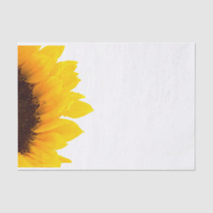 Yellow and Brown Sunflower on White Tissue Paper