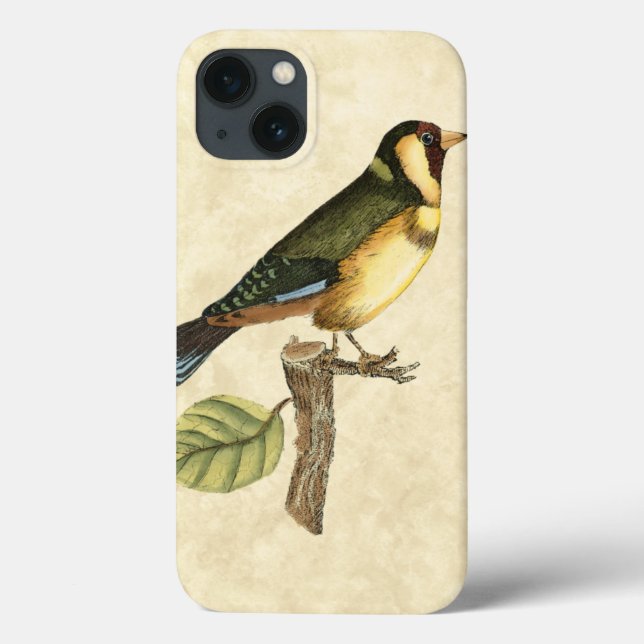 Yellow and Green Bird Perched on a Little Branch Case-Mate iPhone Case (Back)