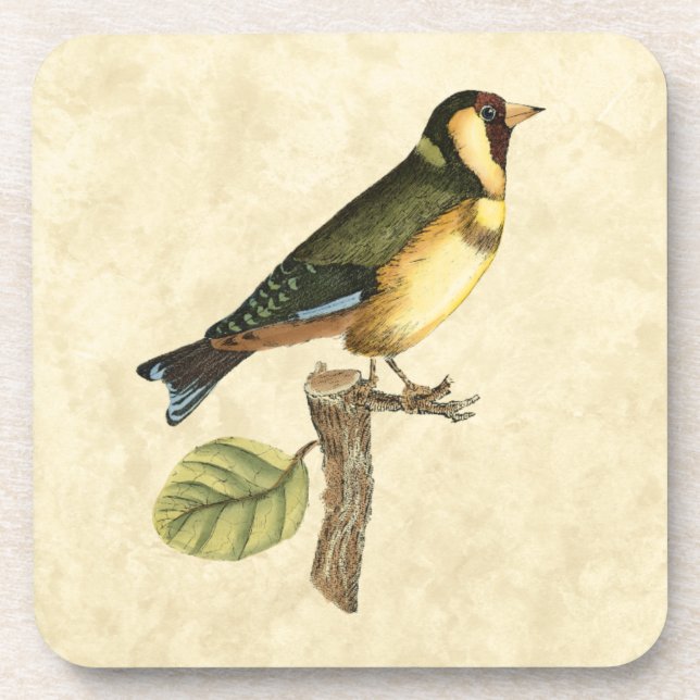 Yellow and Green Bird Perched on a Little Branch Coaster (Front)