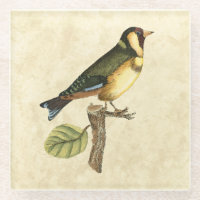 Yellow and Green Bird Perched on a Little Branch