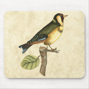 Yellow and Green Bird Perched on a Little Branch Mouse Pad