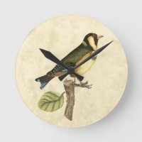 Yellow and Green Bird Perched on a Little Branch
