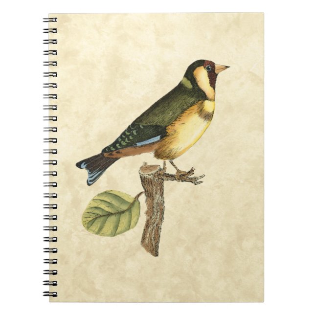 Yellow and Green Bird Perched on a Little Branch Spiral Notebook (Front)