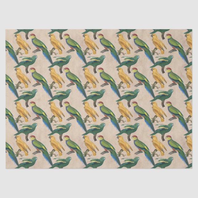 Yellow and Green Birds on Tan Decoupage Tissue Paper (Front)
