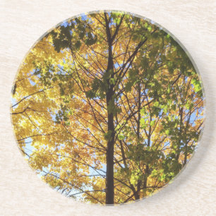 Yellow and Green Fall Foliage Coaster