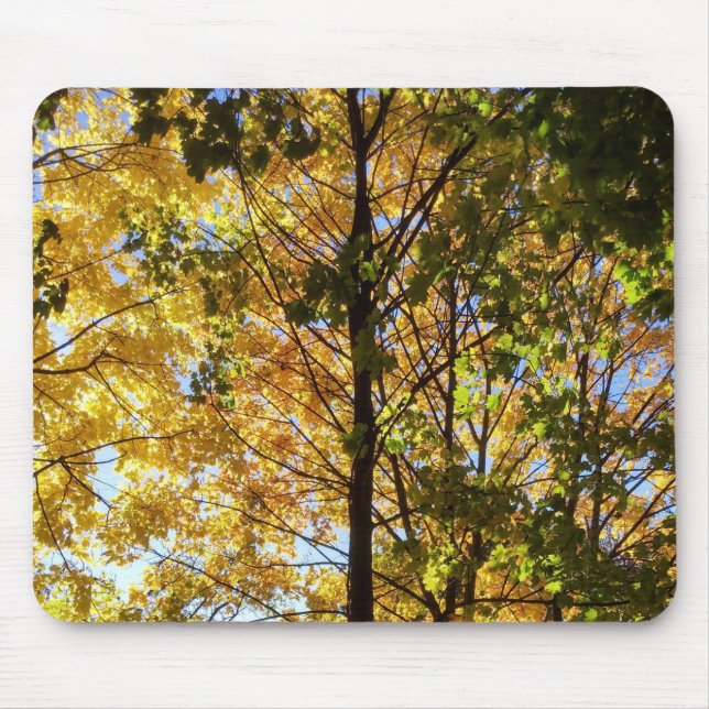Yellow and Green Fall Foliage Mouse Pad (Front)