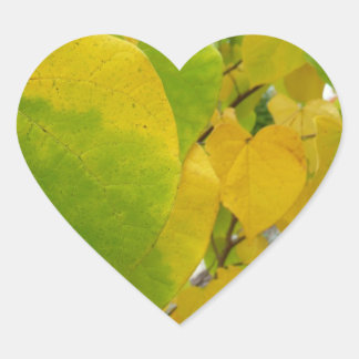 Yellow and Green Redbud Leaves Heart Sticker