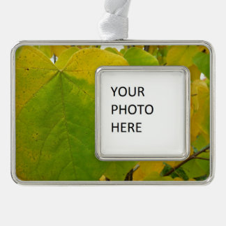 Yellow and Green Redbud Leaves Silver Plated Framed Ornament