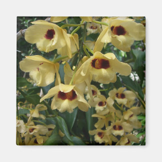 Yellow and Maroon Orchids Elegant Floral Magnet