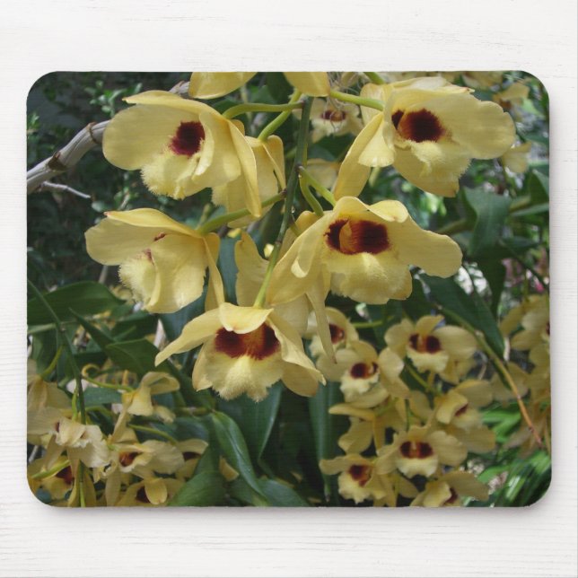 Yellow and Maroon Orchids Elegant Floral Mouse Pad (Front)