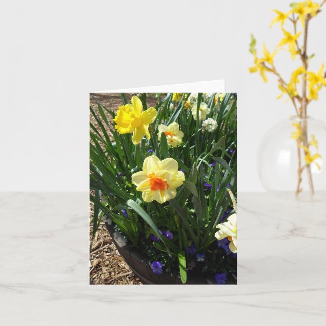 Yellow And Orange Daffodil Greeting Card (Yellow Flower)