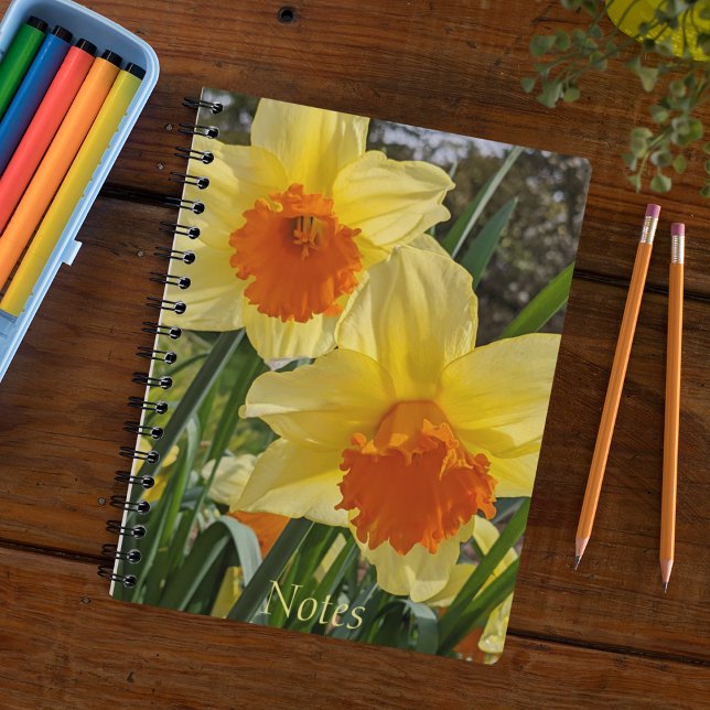 Yellow and Orange Daffodils Floral Notebook (In Situ)