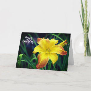 Yellow and orange daylily flower birthday card