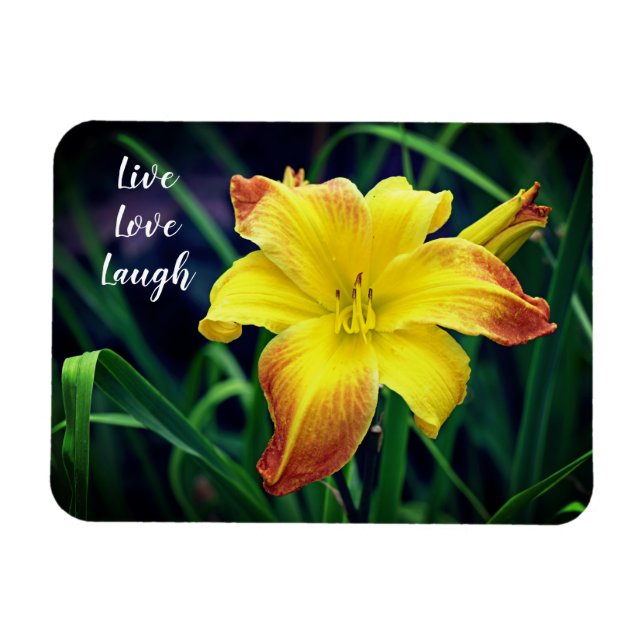 Yellow and Orange Daylily Motivational Magnet (Horizontal)
