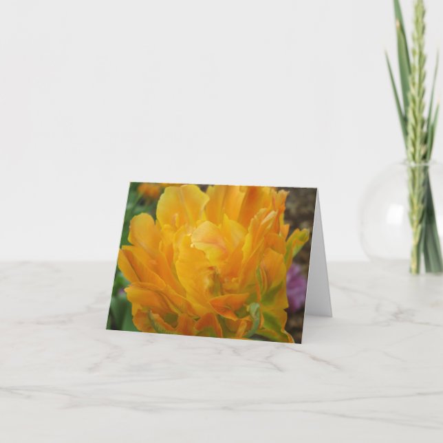 Yellow And Orange Double Tulip Petals Card (Front)