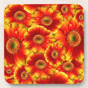 Yellow and Orange Gerbera Daisies Coaster