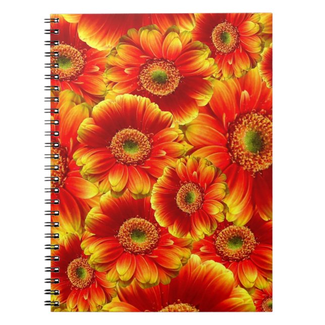 Yellow and Orange Gerbera Daisies Spiral Notebook (Front)