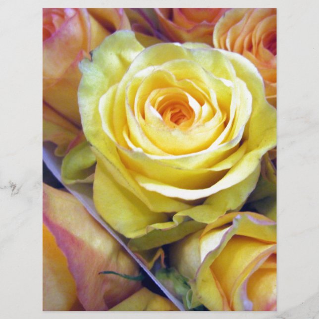 Yellow and Orange Roses (Front)