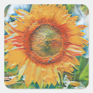 Yellow and orange sunflower painting square sticker