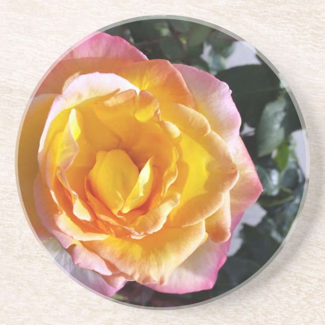 yellow and pink coaster (Front)