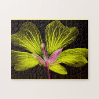 Yellow and Pink Flower Puzzle