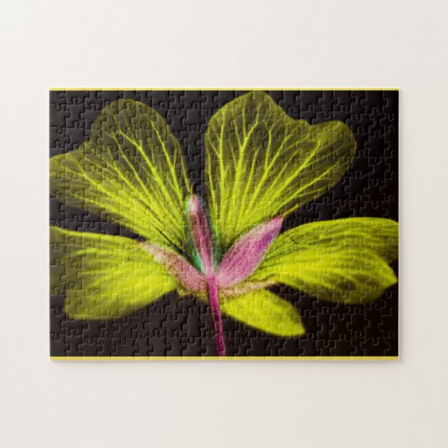 Yellow and Pink Flower Puzzle (Horizontal)