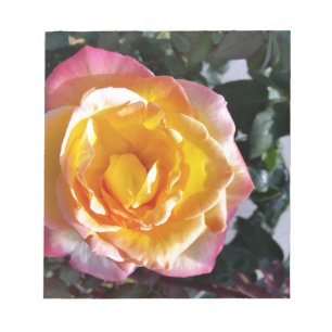 yellow and pink notepad