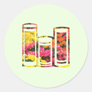 Yellow and pink Rieger Begonia Flower Book Classic Round Sticker