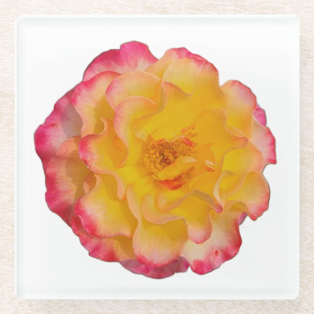 Yellow and Pink Rose Coaster (Front)