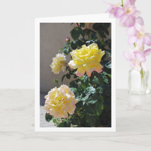 Yellow and Pink Roses Portrait Card