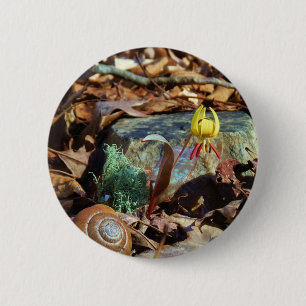 Yellow and Plum Trout Lily and Snail Shell 6 Cm Round Badge