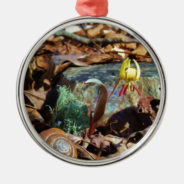 Yellow and Plum Trout Lily and Snail Shell Metal Tree Decoration (Front)